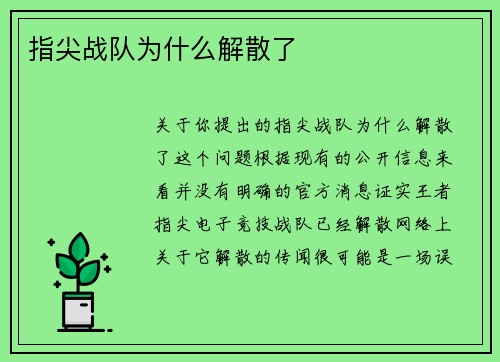 指尖战队为什么解散了